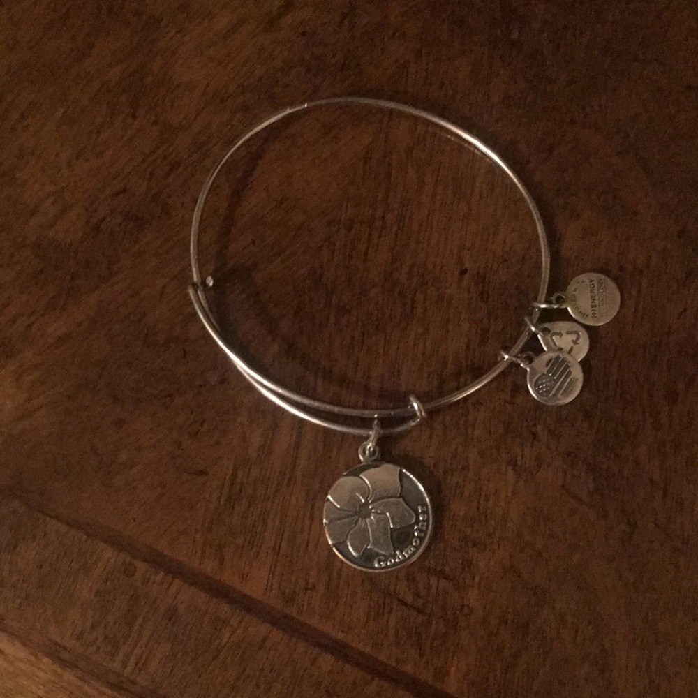 Alex and Ani silver bracelet